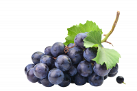 AdobeStock_821927704.png